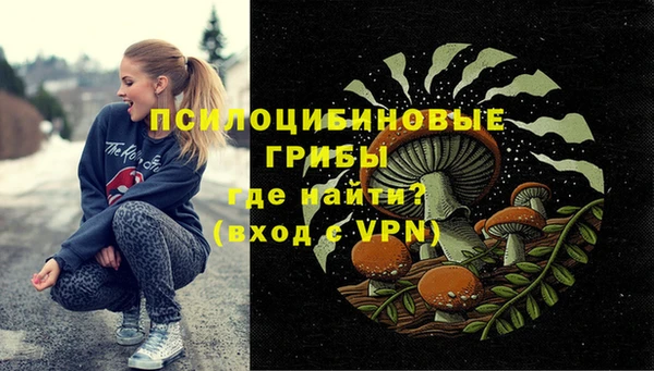 кокс Баксан