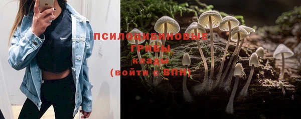кокс Баксан