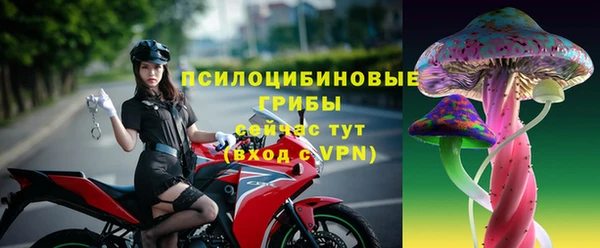 кокс Баксан