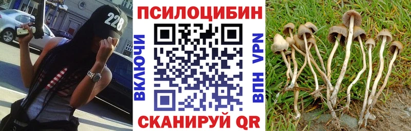МЕГА ССЫЛКА  Балей  Галлюциногенные грибы мицелий  дарнет шоп 